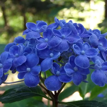 Traditionnel Renove Avec Jardin Clos Et Wi-fi, 3 Chambres, Proche De La Garnache, Vendee. - Fr-1-426-195 La Garnache