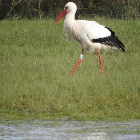 Traditionnel Renove Avec Jardin Clos Et Wi-fi, 3 Chambres, Proche De La Garnache, Vendee. - Fr-1-426-195 بيت للعطل *