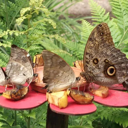 Traditionnel Renove Avec Jardin Clos Et Wi-fi, 3 Chambres, Proche De La Garnache, Vendee. - Fr-1-426-195 بيت للعطل