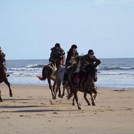 بيت للعطل Traditionnel Renove Avec Jardin Clos Et Wi-fi, 3 Chambres, Proche De La Garnache, Vendee. - Fr-1-426-195 *