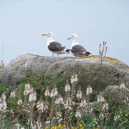 Traditionnel Renove Avec Jardin Clos Et Wi-fi, 3 Chambres, Proche De La Garnache, Vendee. - Fr-1-426-195 *