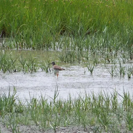Traditionnel Renove Avec Jardin Clos Et Wi-fi, 3 Chambres, Proche De La Garnache, Vendee. - Fr-1-426-195 بيت للعطل *