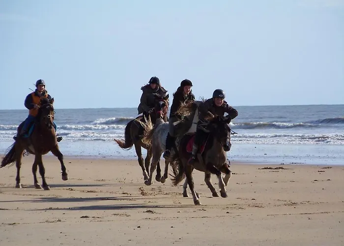 بيت للعطل Traditionnel Renove Avec Jardin Clos Et Wi-fi, 3 Chambres, Proche De La Garnache, Vendee. - Fr-1-426-195 *