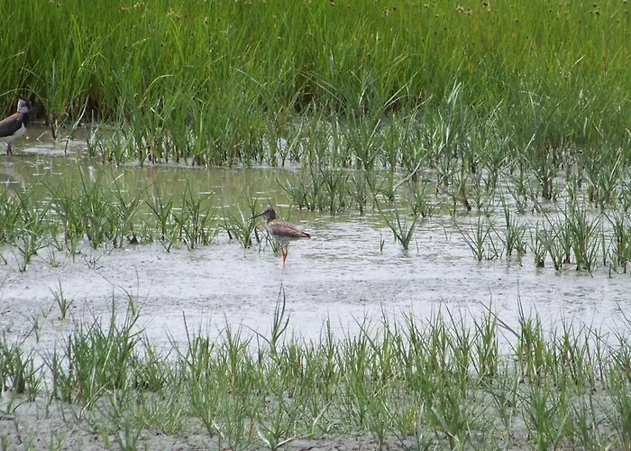 Сasa de vacaciones Traditionnel Rénové Avec Jardin Clos Et Wi-fi, 3 Chambres, Proche De La Garnache, Vendée. - Fr-1-426-195